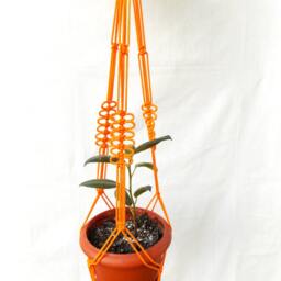 Orange Macrame - Plant Hanger 24 Inches 3mm Mini Hanging Planter Macrame Plant Holder Planter Patterns Wall Hanging - thumbnail 2