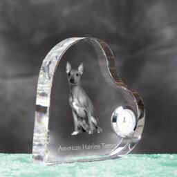 American Hairless Terrier - Crystal Clock in The Shape Of A Heart With Image Pure-Bred Dog - thumbnail 3
