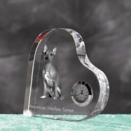 American Hairless Terrier - Crystal Clock in The Shape Of A Heart With Image Pure-Bred Dog - thumbnail 2