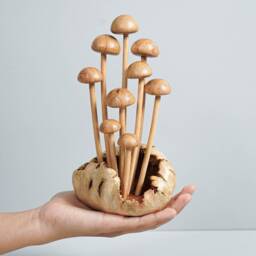 Wooden Enoki Mushroom Sculpture, Statue, Handmade, Personalize, Small Mushroom, Kitchen Decor, Gift For Mushrooms Lover, Mom - thumbnail 4