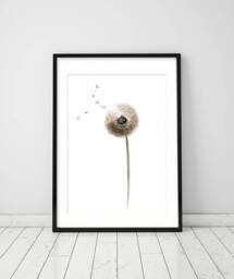 Print Of Dandelion Watercolor Painting, Seed Illustration Art Print , Wall Art, Botanical Living Room Decor - thumbnail 1