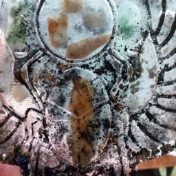Scarab Orgone//Generator//4 in X 3 1/2 In//Moldmaking//Energy Work - thumbnail 3