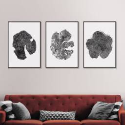 Large Tree Ring Prints - Set Of 3 Black & White Woodland Art - thumbnail 3