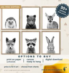 Woodland Animal Prints For Nursery, Black & White Nursery Animals, Baby Wall Art, Forest Animals Art - thumbnail 1