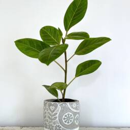 Bird Pot, Dove, White Floral 3D Planter, Raised Design, Cement 5 Inch Textured Hippie Peace, Patterned - thumbnail 2