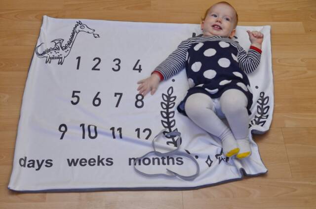 Baby Boy Milestone Blanket, Days Weeks Months Calendar Photo Growth Age, Shower Gift, Velvet Blanket - image 1