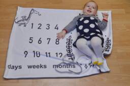 Baby Boy Milestone Blanket, Days Weeks Months Calendar Photo Growth Age, Shower Gift, Velvet Blanket