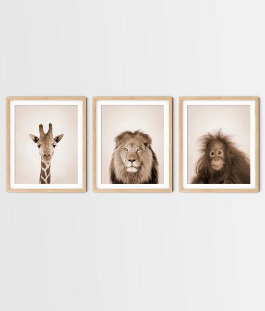 Safari Animal Prints - Set Of 3 Giraffe, Lion, Monkey Kids Wall Art - image 1