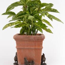 Antique Bronze Buff Orpington Chicken Plant Pot Feet - Set Of 3 - Handcrafted Garden Decor - thumbnail 3