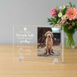 Personalised Pet Memorial Acrylic Plaque Photo Frame Gift For Dog Loss Sympathy Bereavement Keepsake From Owner - thumbnail 3