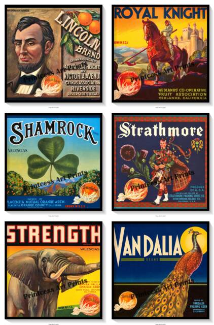 Vintage Sunkist Orange Crate Labels Set Of 6 Art Prints Oranges Citrus Fruits - image 1