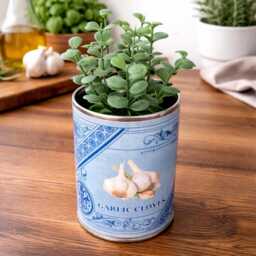 Italian Vintage Retro Herb Planters Tin Cans. Kitchen Indoor Plant Planter Pots - thumbnail 4