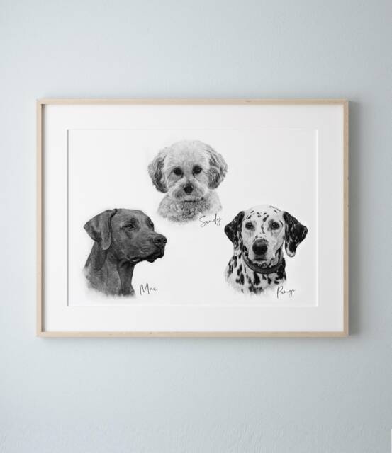 Three Dog Sketch Style Pet Portrait, Black & White Pencil Drawing, Personalised Sketch, Memorial, Wall Art, Skuscr-Pbsi-3 - image 1