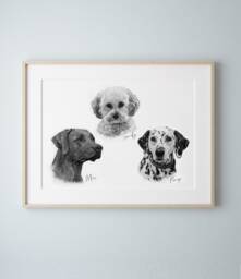 Three Dog Sketch Style Pet Portrait, Black & White Pencil Drawing, Personalised Sketch, Memorial, Wall Art, Skuscr-Pbsi-3 - thumbnail 1