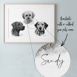 Three Dog Sketch Style Pet Portrait, Black & White Pencil Drawing, Personalised Sketch, Memorial, Wall Art, Skuscr-Pbsi-3 - thumbnail 3