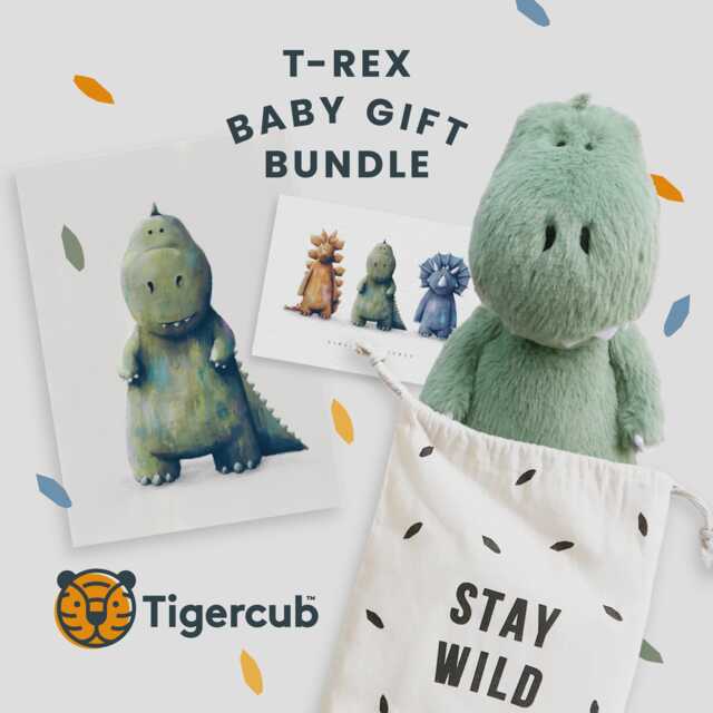 T-Rex Baby Gift Set - Dinosaur Hamper - Newborn Box Dino Unisex Present Shower 1st Birthday - image 1