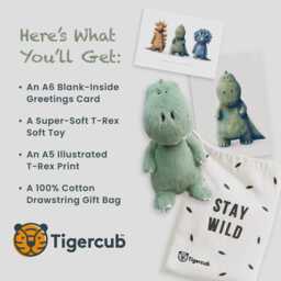T-Rex Baby Gift Set - Dinosaur Hamper - Newborn Box Dino Unisex Present Shower 1st Birthday - thumbnail 3