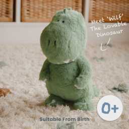 T-Rex Baby Gift Set - Dinosaur Hamper - Newborn Box Dino Unisex Present Shower 1st Birthday - thumbnail 2