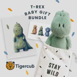 T-Rex Baby Gift Set - Dinosaur Hamper - Newborn Box Dino Unisex Present Shower 1st Birthday - thumbnail 1