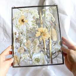 Pressed Flower Frame White Botanical Stained Glass Wall Art - thumbnail 2