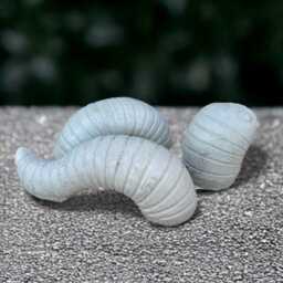Concrete Earthworm Statue Whimsical Garden Creature Stone Worm Figurine Outdoor Decoration Worm Lover Gift Garden & Home Ornament - thumbnail 4