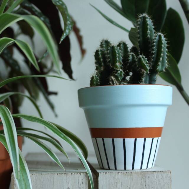 Hand Painted Terracotta Plant Pot For Houseplants - Customisable With Drainage & Saucers To Match Great Gift Idea - image 1