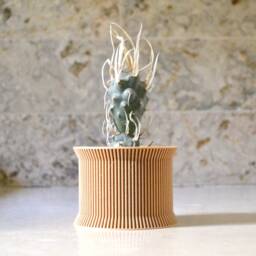 "Wood Japanese Planter ""Skirted" - thumbnail 3