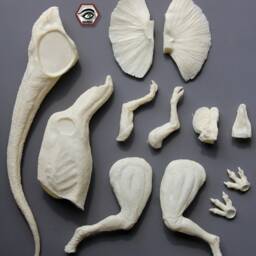 Dilophosaurus Resin Kit - thumbnail 4
