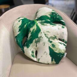 Variegated Monstera Leaf Pillow, Unique Plant Lover Gift - thumbnail 4
