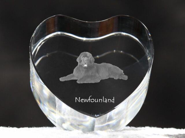 Newfoundland, Crystal Heart With Dog, Souvenir, Decoration, Limited Edition, Collection - image 1