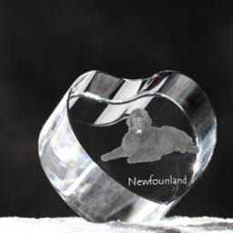Newfoundland, Crystal Heart With Dog, Souvenir, Decoration, Limited Edition, Collection - thumbnail 3