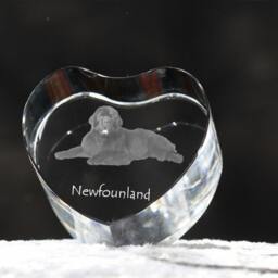 Newfoundland, Crystal Heart With Dog, Souvenir, Decoration, Limited Edition, Collection - thumbnail 2