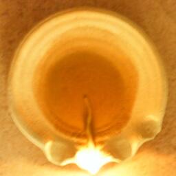 Advent 100 White Cotton Wicks, 100% Organic Cotton Wick, Oil Lamp Wick, Candle Wicks, Lamp, Candelabras, Diya Candles, Supplies - thumbnail 2