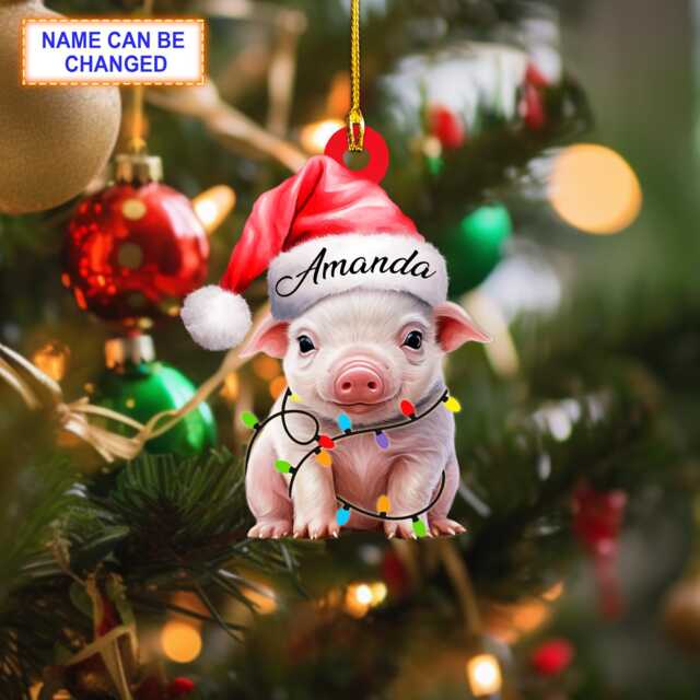 Custom Name Cute Smile Pig Personalized Ornament, Christmas Tree Hanging Decor, Flat 2D Lover Gift - image 1