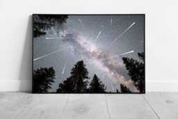 Perseid Meteor Shower Pine Forest Wall Art Stunning Celestial Night Sky Print For Space Enthusiasts - thumbnail 1
