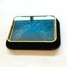"Vintage Seaweed Print Wall Resin Art ""Cystoseira Fibrosa" - thumbnail 3