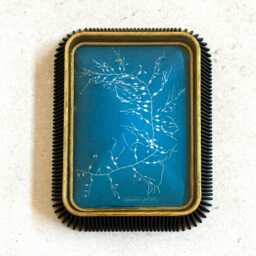 "Vintage Seaweed Print Wall Resin Art ""Cystoseira Fibrosa" - thumbnail 1