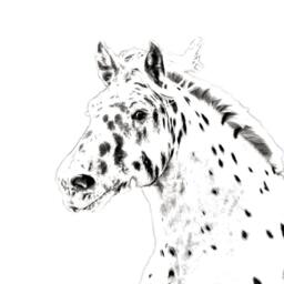 Noriker - Wooden Stand For Candles/Pens With The Image Of A Horse New Collection - thumbnail 2