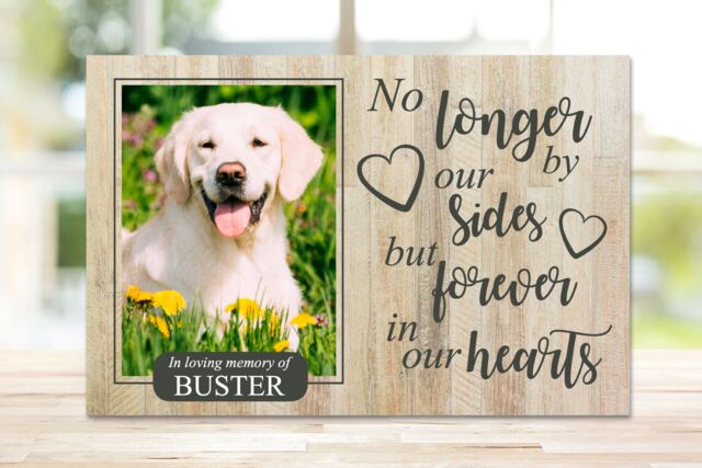 Dog Memorial, Pet Memorial Frame, Gift, Plaque, Photo Memorial Picture Cat - image 1