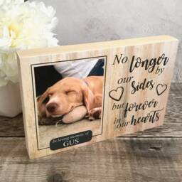 Dog Memorial, Pet Memorial Frame, Gift, Plaque, Photo Memorial Picture Cat - thumbnail 2