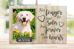 Dog Memorial, Pet Memorial Frame, Gift, Plaque, Photo Memorial Picture Cat - thumbnail 1
