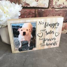 Dog Memorial, Pet Memorial Frame, Gift, Plaque, Photo Memorial Picture Cat - thumbnail 4