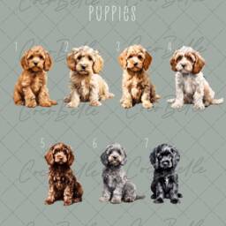 Personalised Cockapoo Bauble, Any Text Colour New Puppy Gift Watercolour Cavapoo Doodle Name Christmas Tree Pet Ideas Lover Owner - thumbnail 2