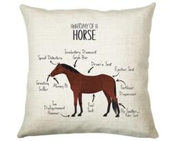 Anatomy Of A Horse Pony Funny Gift For Him Or Her Cushion Pillow Bedroom Decor Cs456 - thumbnail 1