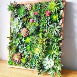 Faux Succulent 3D Wall Art Rustic Wood Framed Botanical Decor For Home Or Business - thumbnail 3