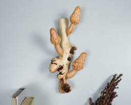 Morel Mushroom Wall Art, Hanging Statue, Figurine, Wood Carving, Sculpture, Decor, Gift For Father, Living Room Appreciated - thumbnail 1