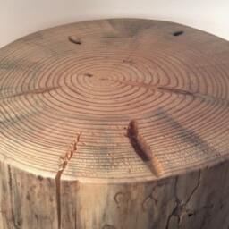 "Rustic Yellow Pine Stump Stool Table Plant Stand Photo Prop 9 - 10"" Wide 11-13" - thumbnail 4