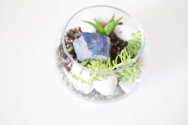 Diy Kit, Terrarium Building Complete Succulent Planter Kit - image 1