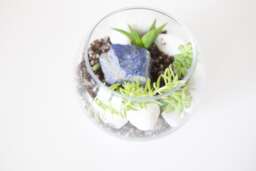 Diy Kit, Terrarium Building Complete Succulent Planter Kit - thumbnail 1