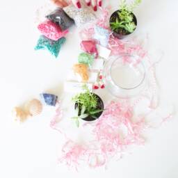 Diy Kit, Terrarium Building Complete Succulent Planter Kit - thumbnail 4